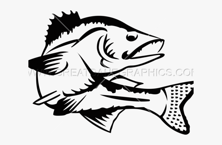 Black And White Walleye Clipart, HD Png Download, Free Download