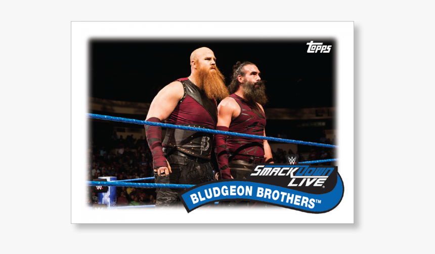 Boxing-ring - Erick Rowan Bludgeon Brothers, HD Png Download, Free Download
