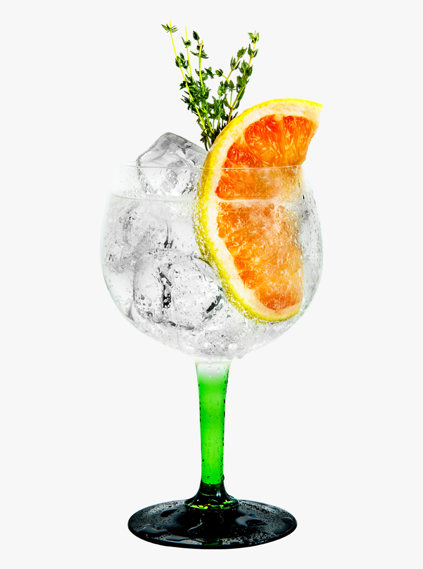 Grapefruit & Thyme Tanqueray & Fever-tree - Gin Tonic Orange Thyme, HD Png Download, Free Download