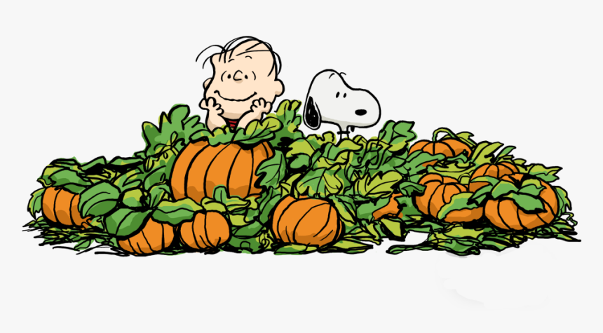 Pilgrims Cliparts Transparent Snoopy - Charlie Brown Halloween Clipart, HD Png Download, Free Download