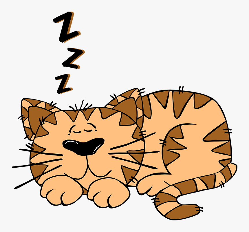 Cartoon Sleeping - Cat Sleeping Clipart, HD Png Download, Free Download