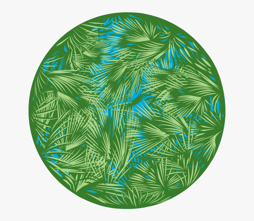 Transparent Palm Leaves Png - Portable Network Graphics, Png Download, Free Download
