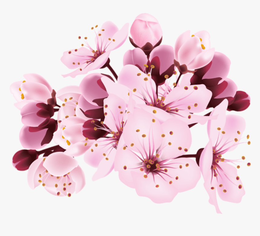 Transparent Spring Cherry Blossom - Cherry Blossom Flower Png, Png Download, Free Download