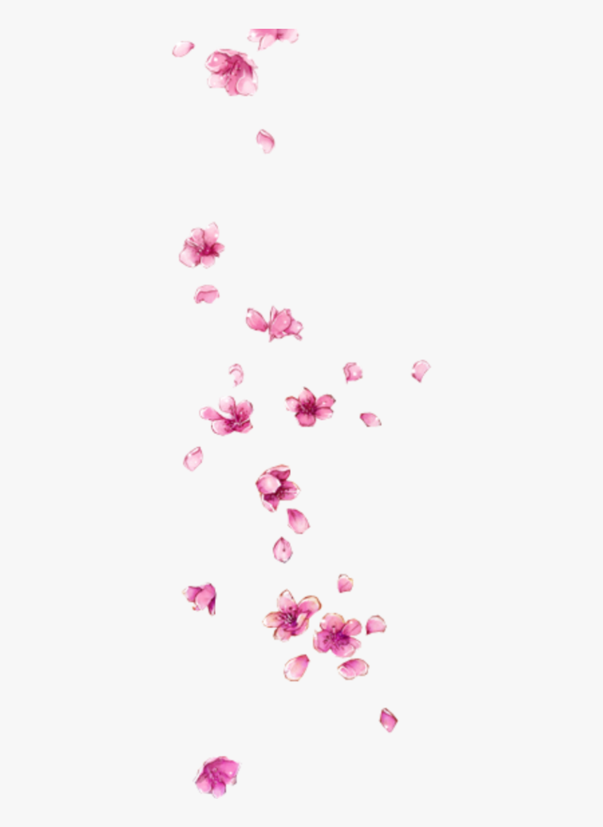 #ftestickers #flowers #petals #falling #pink - Flower Petals Falling Png, Transparent Png, Free Download
