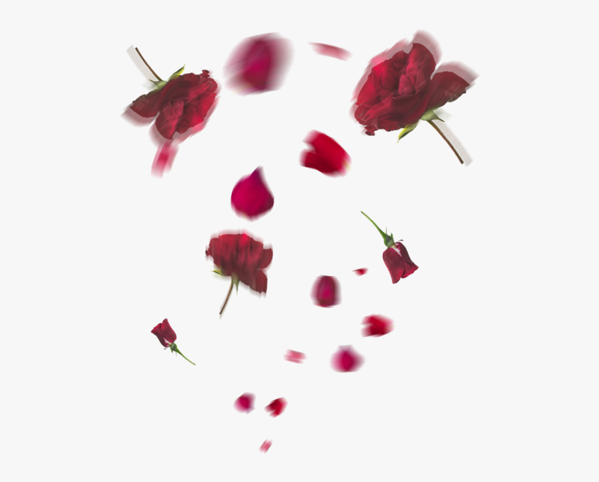 Flowers In Floating Transparent, HD Png Download, Free Download