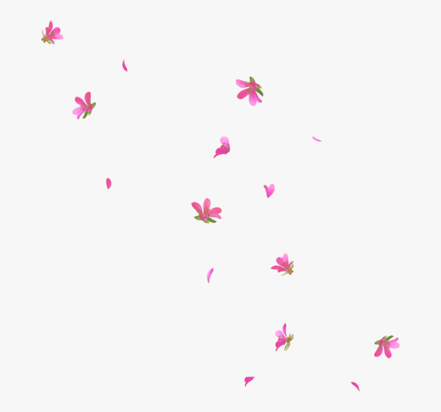 Transparent Sakura Petals Png - Transparent Flower Rain Png, Png Download, Free Download