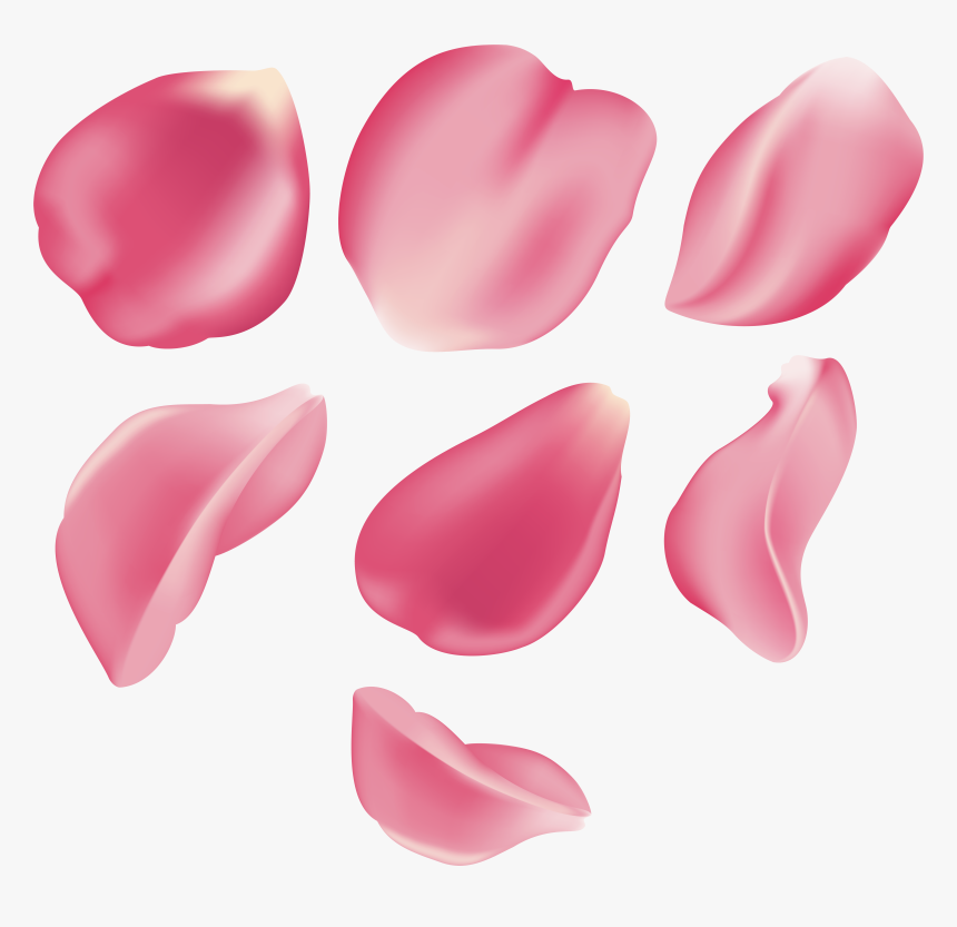 Rose Petals Png Images - Pink Rose Petal Png, Transparent Png, Free Download