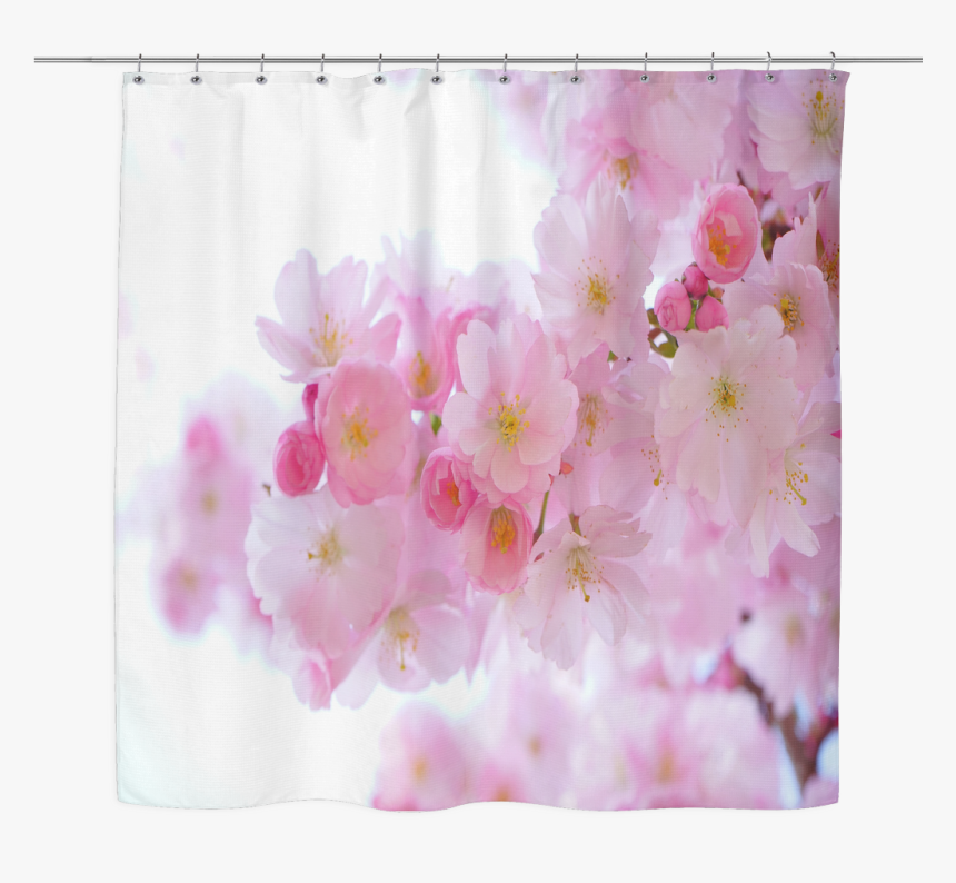 Japanese Cherry Trees Shower Curtain - Curses In The Bible, HD Png Download, Free Download