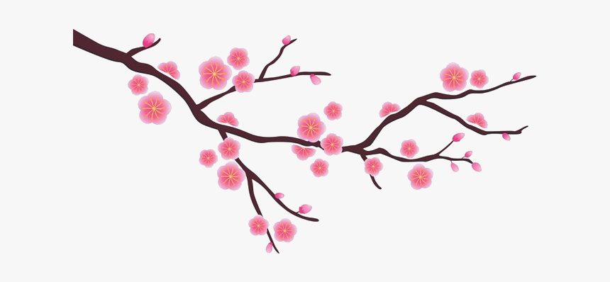 Simple Cherry Blossom Drawing, HD Png Download, Free Download