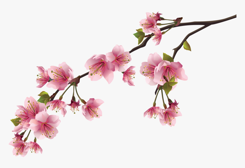 Peach Flower Cartoon Png, Transparent Png, Free Download