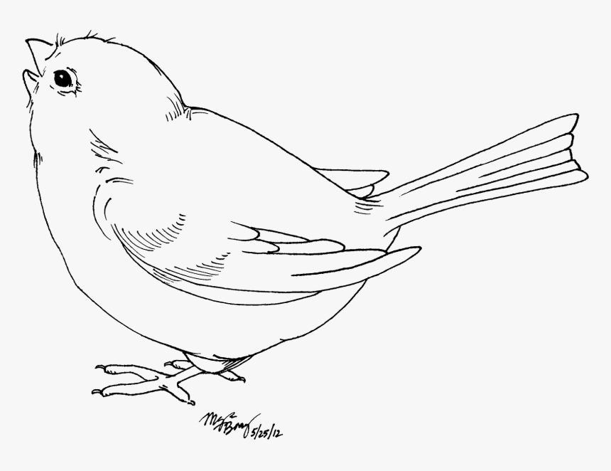 Bird Clipart Black And White, HD Png Download, Free Download