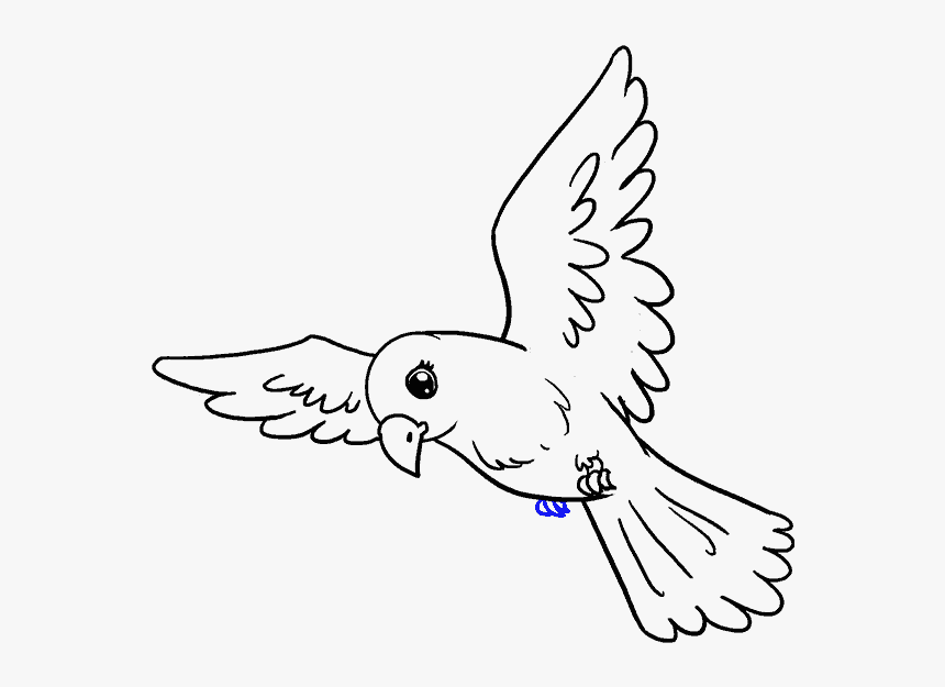 How To Draw Bird - Drawing Of Bird, HD Png Download, Free Download