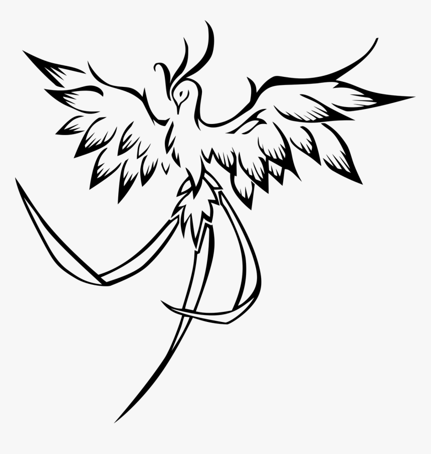 Transparent Bird Vector Png - Phoenix Line Art, Png Download, Free Download