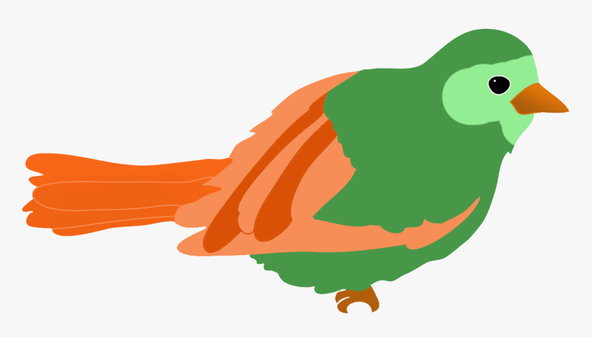 Green Colored Bird Drawing - Bird Kindergarten Clipart, HD Png Download, Free Download