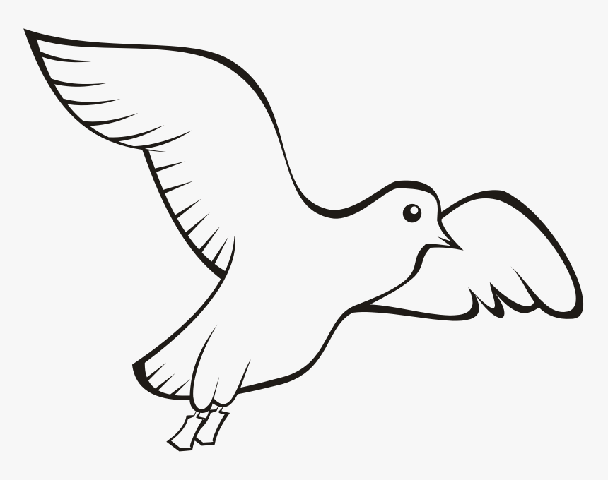 Bird Beak Domestic Pigeon Columbidae Clip Art - Bird Outline Drawing Png, Transparent Png, Free Download