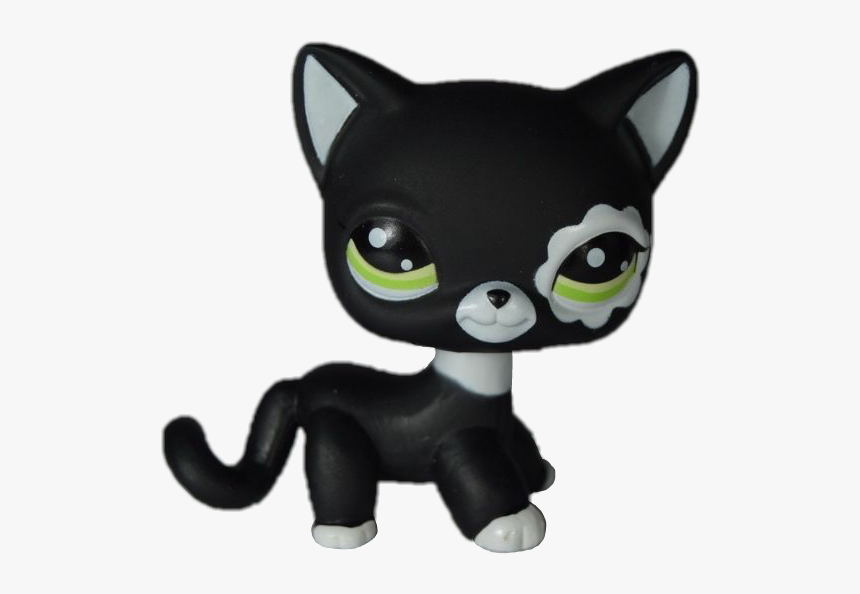 #lps - Littlest Pet Shop Koty, HD Png Download, Free Download