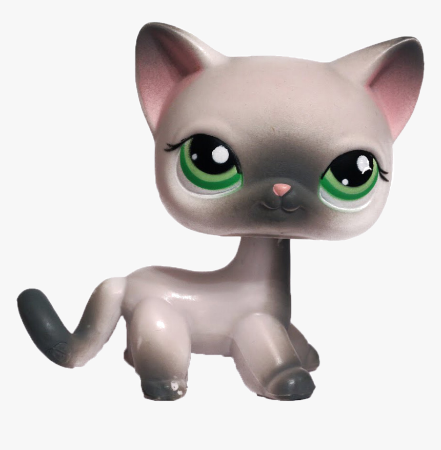 lps png shorthair cat