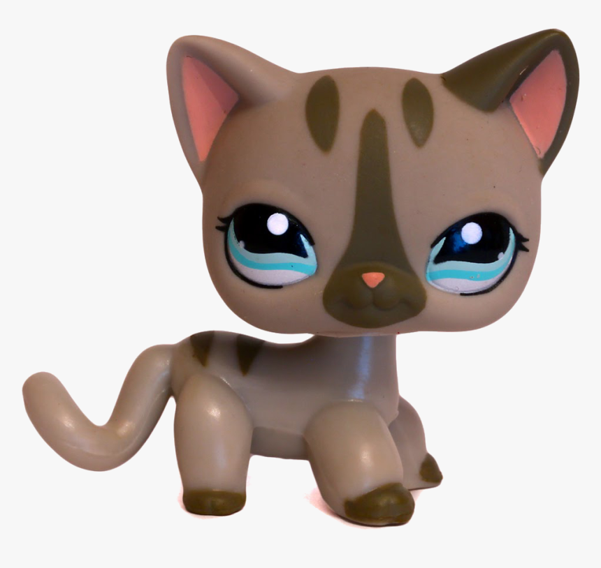 lps png shorthair cat