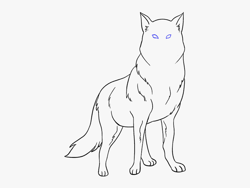 How To Draw Wolf - Drawing, HD Png Download, Free Download