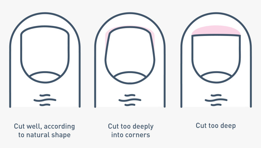 Toe Cutting Diagram - Basketball Clip Art, HD Png Download, Free Download