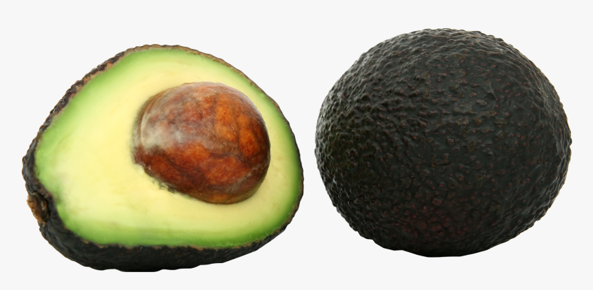 Avocado Png, Transparent Png, Free Download