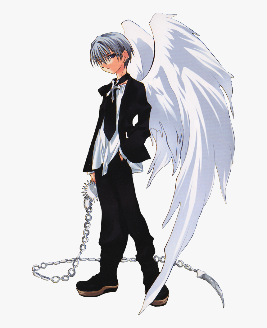 Dn Angel Satoshi, HD Png Download, Free Download