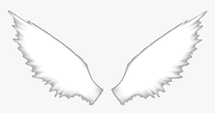 Transparent Angel Wings Clipart - Brassiere, HD Png Download, Free Download