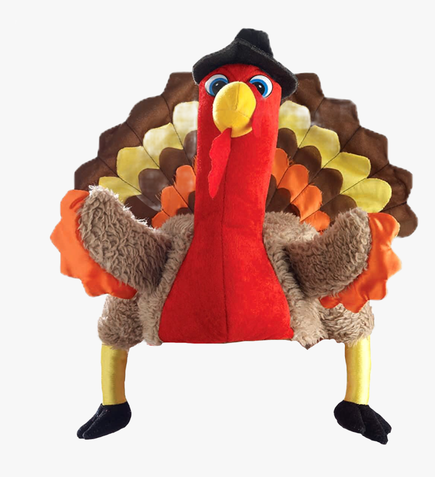 Transparent Christmas Hat Transparent Png - Thanksgiving Turkey Hat, Png Download, Free Download