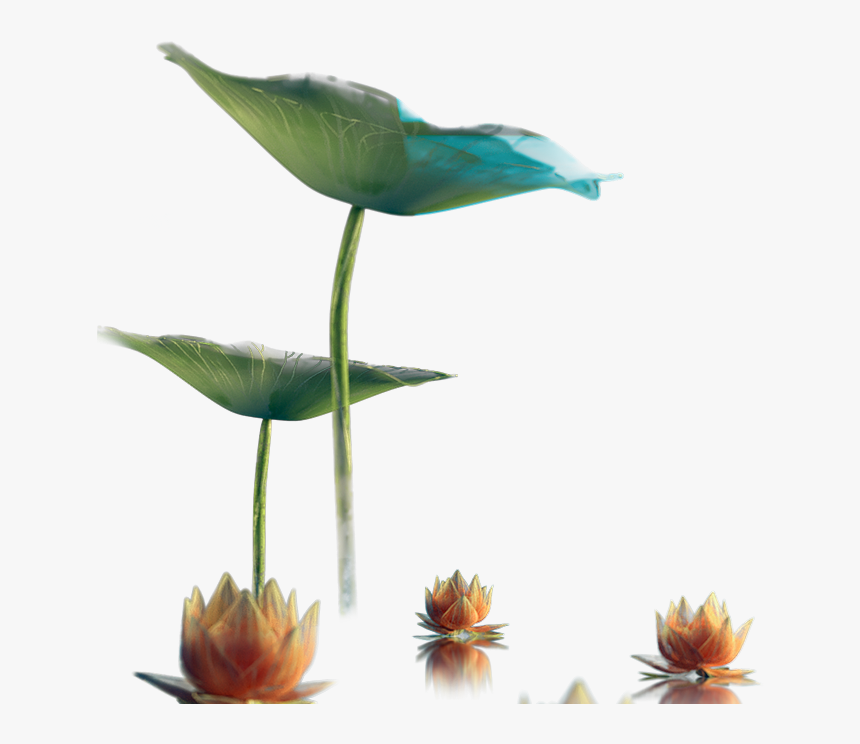 Magic Lotus Automaton - Bird, HD Png Download, Free Download