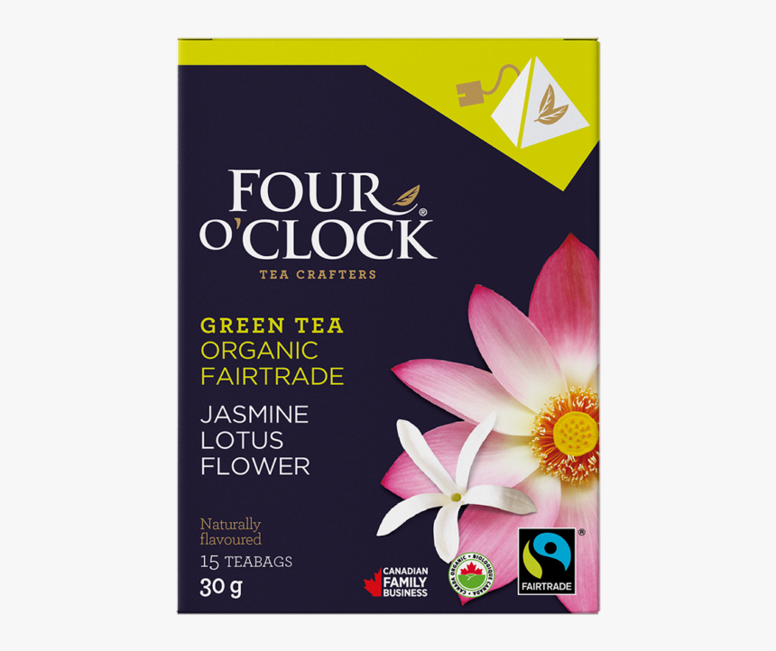 Green Jasmine Lotus Flower - Turmeric Tea Four O Clock, HD Png Download, Free Download