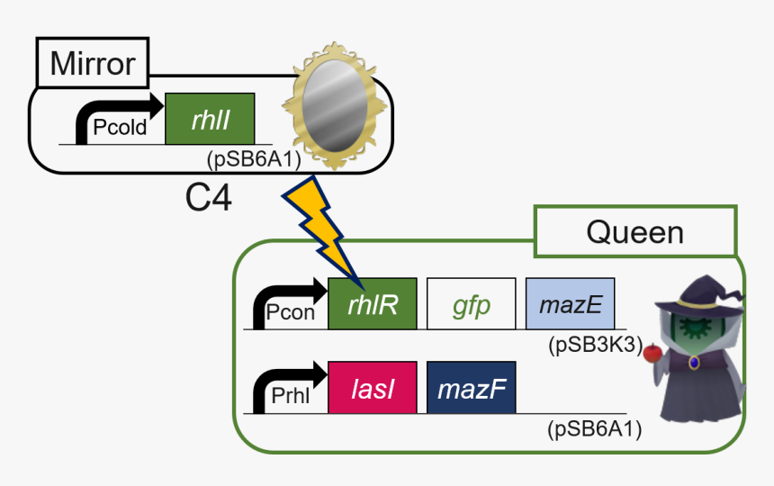 Diagram, HD Png Download, Free Download