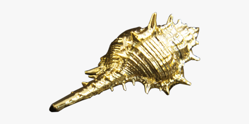 Gold Sea Shell Png, Transparent Png, Free Download