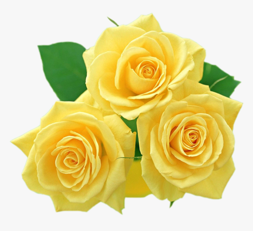 Yellow Flowers, Textiles, Flower Clipart, Clip Art, - Yellow Rose Transparent Background, HD Png Download, Free Download