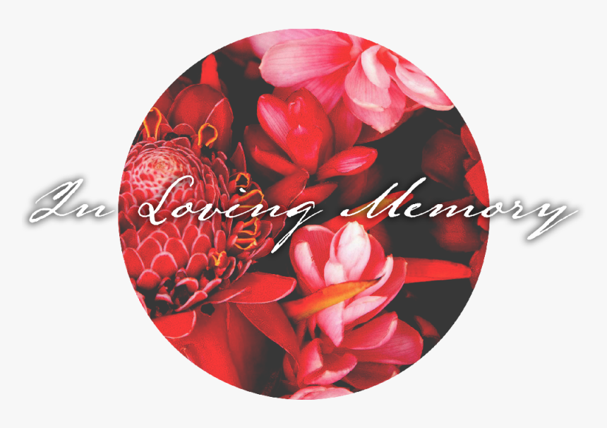Transparent In Loving Memory Png - Artificial Flower, Png Download, Free Download