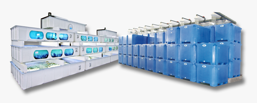 Industrial-installations - Station De Purification Des Coquillages, HD Png Download, Free Download