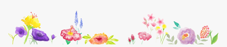 Pastel Flower Header Png, Transparent Png, Free Download