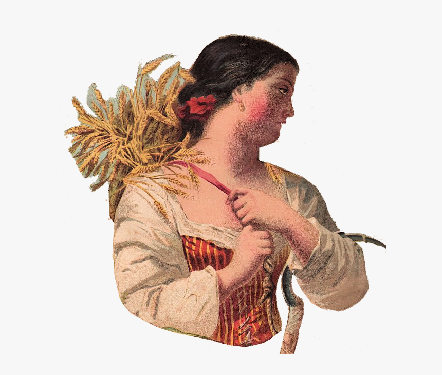 Transparent Autumn Clip Art - Woman Harvesting, HD Png Download, Free Download