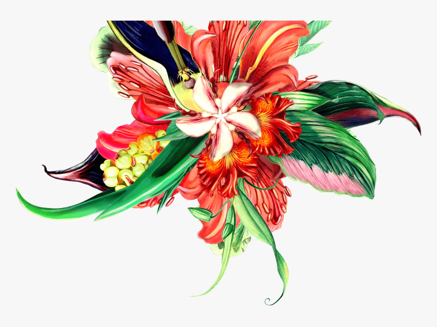 Bouquet - Lily Family, HD Png Download, Free Download