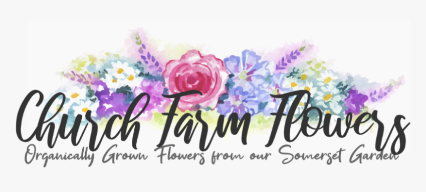 Church Farm Flowers - Viola, HD Png Download, Free Download