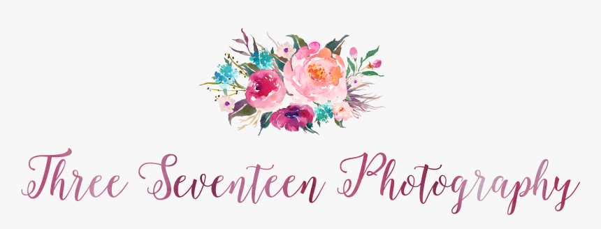 Three Seventeen Photography - Calligraphy, HD Png Download, Free Download