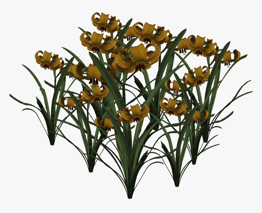 Ceratostylis, HD Png Download, Free Download