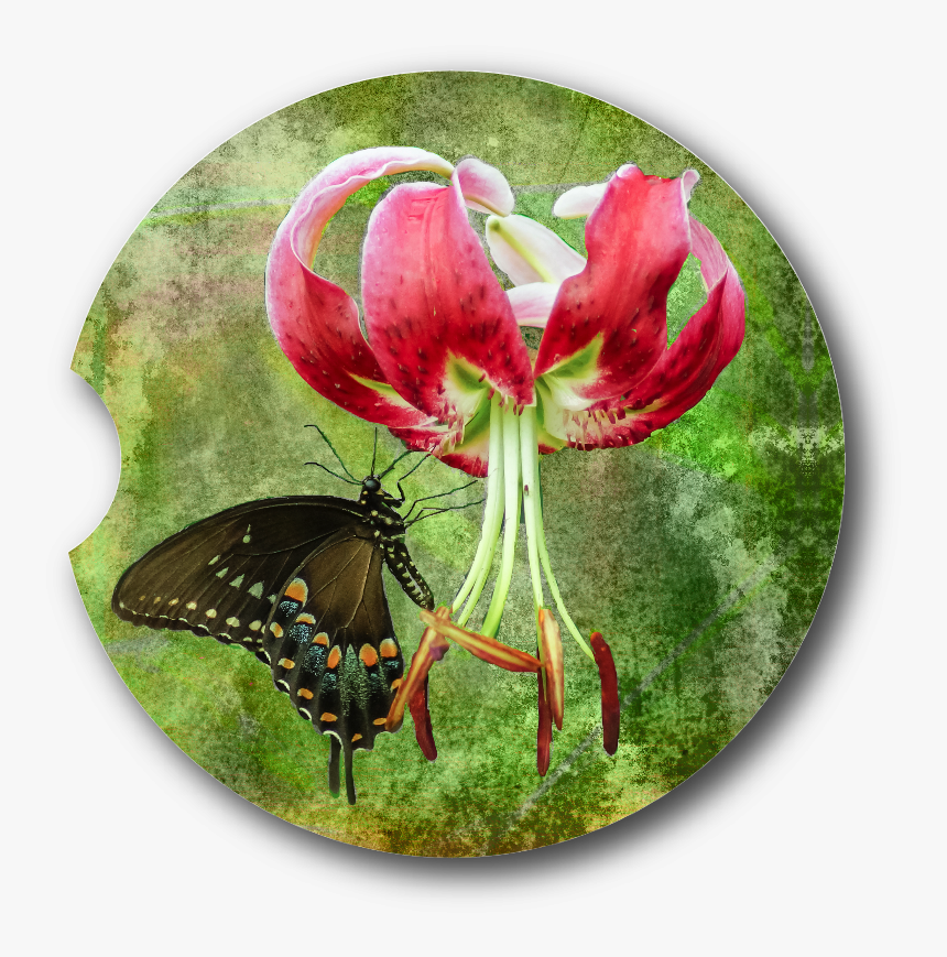 Butterfly On Tiger Lily, HD Png Download, Free Download