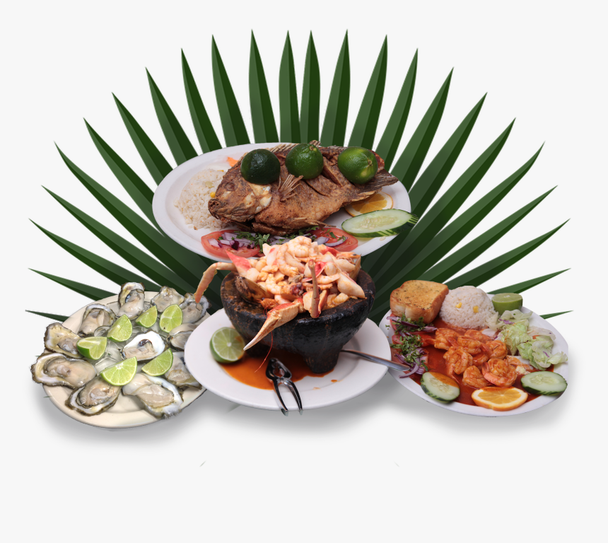 Transparent Tostada De Ceviche Png - Mussel, Png Download, Free Download
