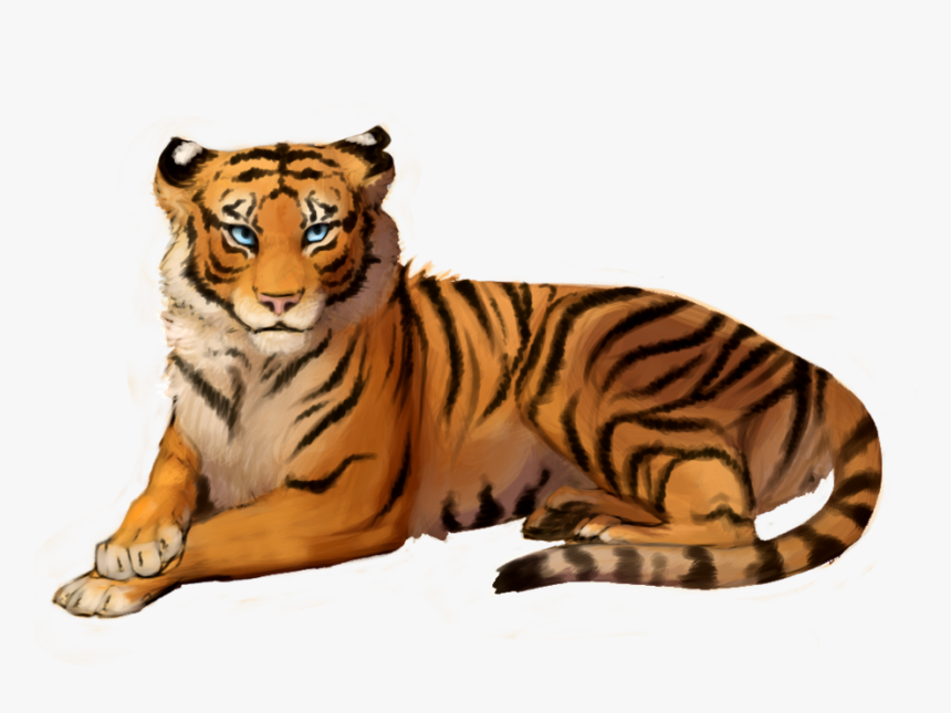 Transparent Tiger Png - Transparent Background Tiger Clipart, Png Download  - kindpng