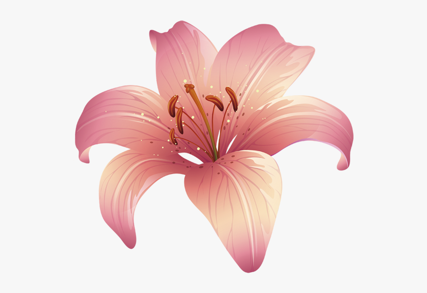 Lilium Png - Fleur De Lys Rose Png, Transparent Png, Free Download
