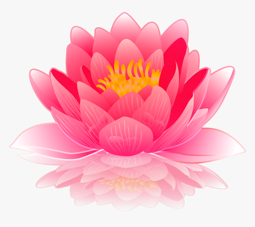 Pink Water Lily Clip Art Image Gallery Yopriceville - Pink Water Lily Clip Art, HD Png Download, Free Download