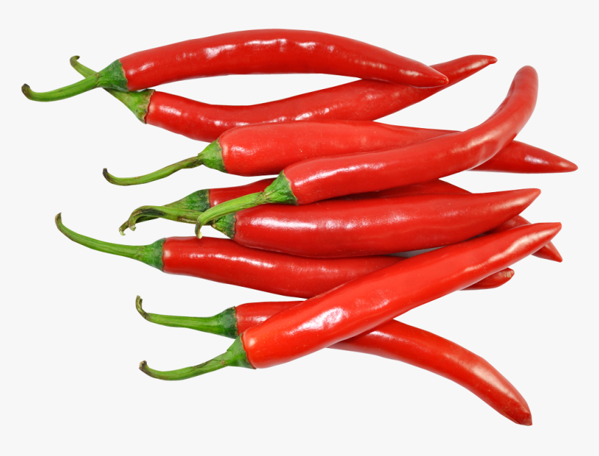 Malagueta Pepper,bird"s Eye Chili,serrano Pepper,chili - Chili Png, Transparent Png, Free Download