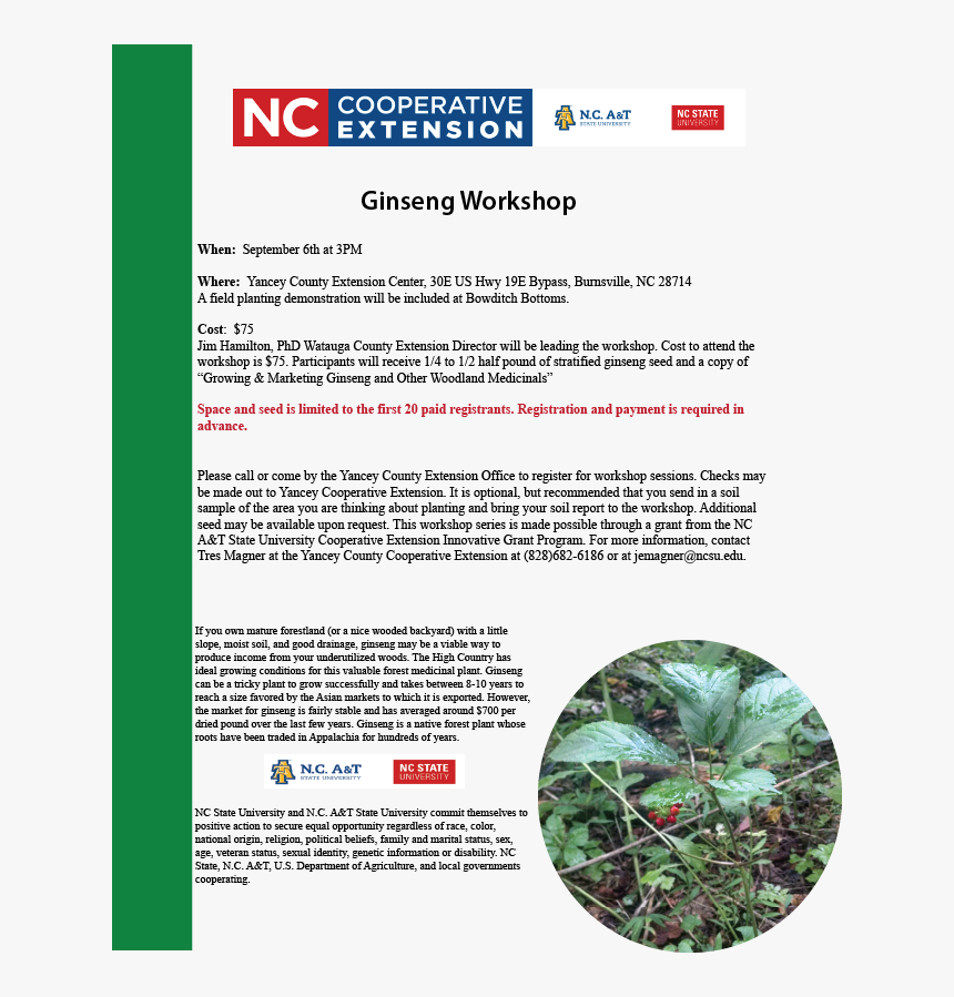 Ginseng Workshop Flyer Image - Brochure, HD Png Download, Free Download