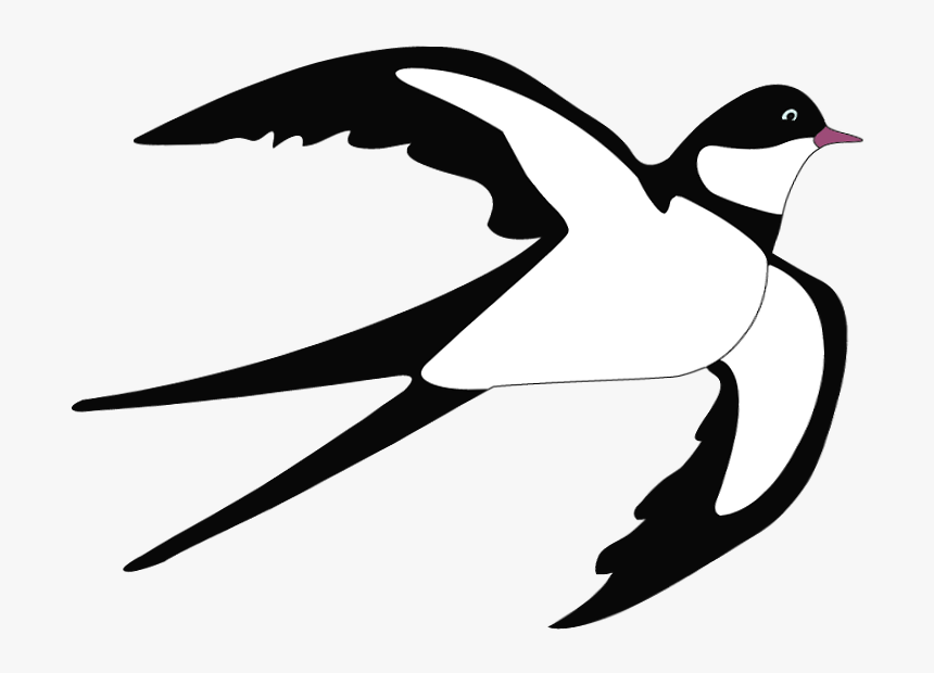 Tree Swallow Bird Clip Art - Swallow Clipart, HD Png Download, Free Download