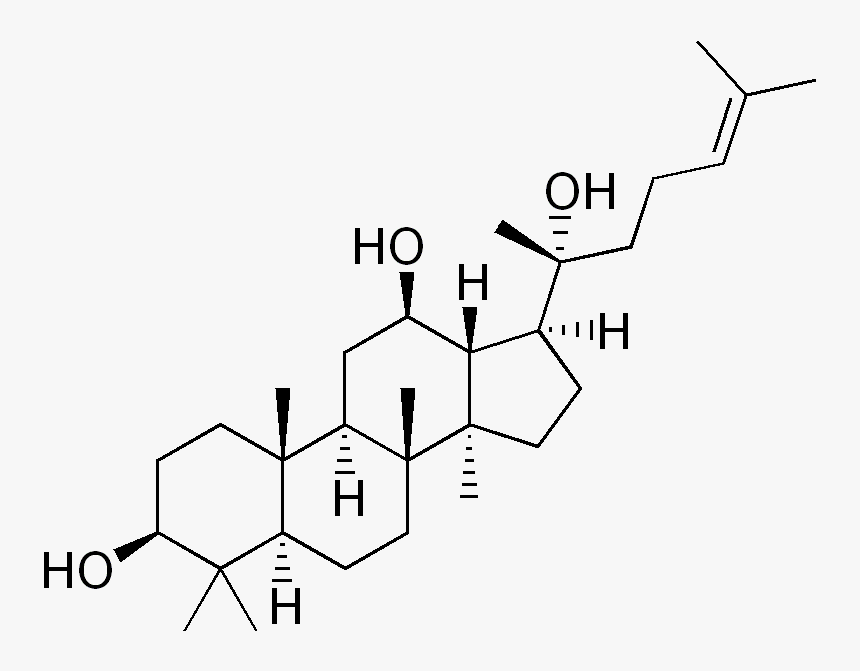 File - Protopanaxadiol - Moringa Structure, HD Png Download, Free Download